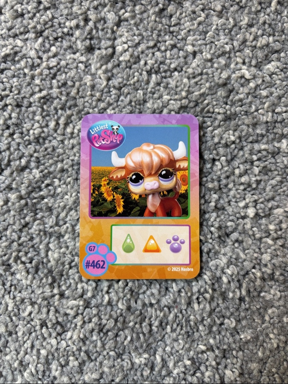 Littlest Pet Shop #462 G7 Highland Cow - Picture 4 of 6